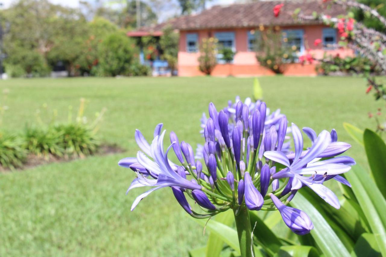 Ecohotel La Masia Llanogrande  Buitenkant foto